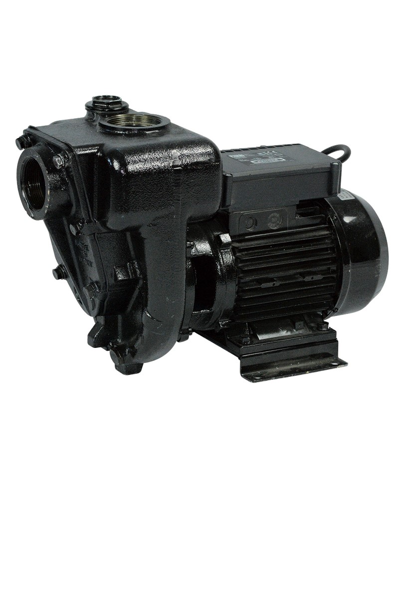 E 300 230V - Высокопроизводительный роторный лопастной насос для ДТ, до 550 л/мин